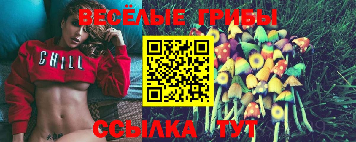 Зеленогорск  Псилоцибиновые грибы Psilocybine cubensis  Вход с VPN  Псилоцибиновые грибы Cubensis 