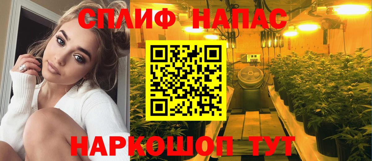 Шишки марихуана конопля  Вход с VPN  Шишки марихуана индика  Каннабис марихуана  Каннабис AK-47  Зеленогорск 
